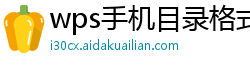 wps手机目录格式模板